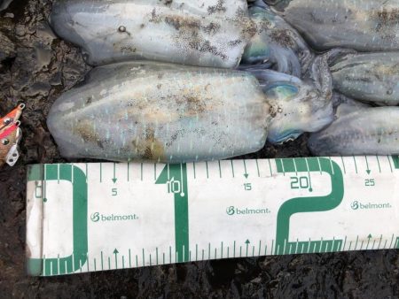 2022 佐渡ヶ島エギング 12回目